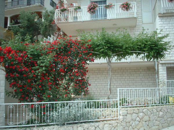 טרוגיר Lana Apartments מראה חיצוני תמונה